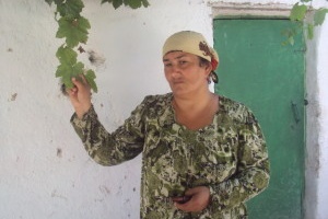Shamsiya/